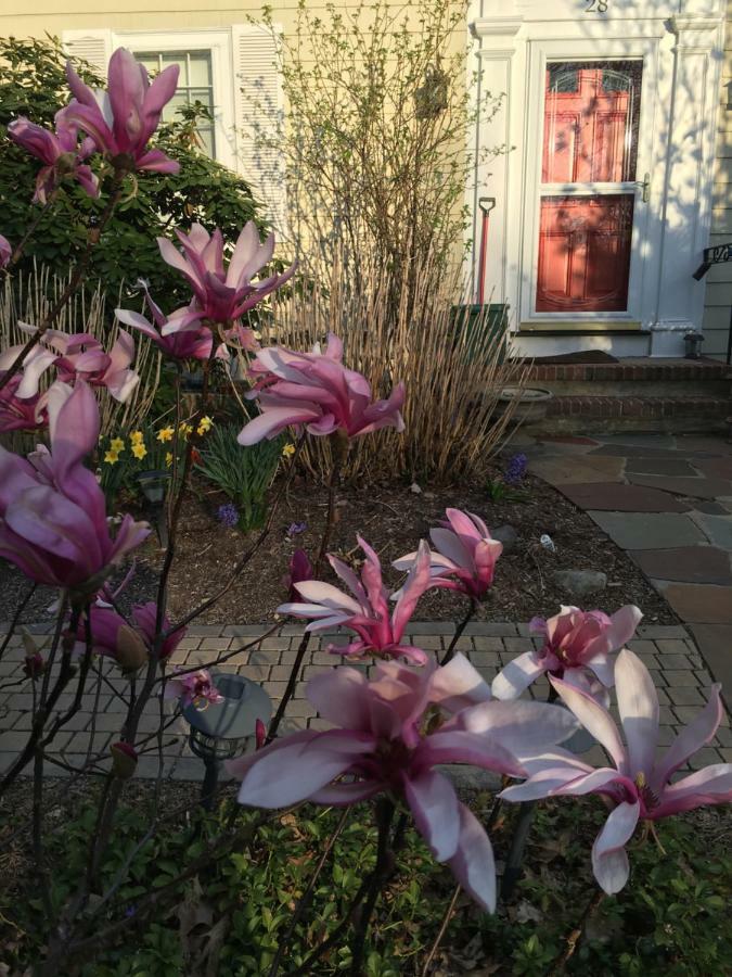 Wellesley Bed And Breakfast Exterior foto